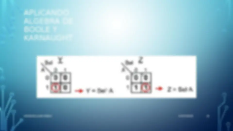 pf19