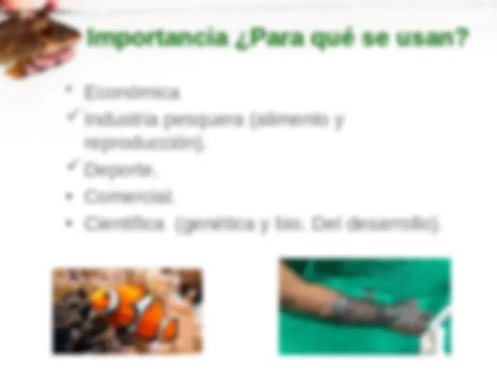 pfa
