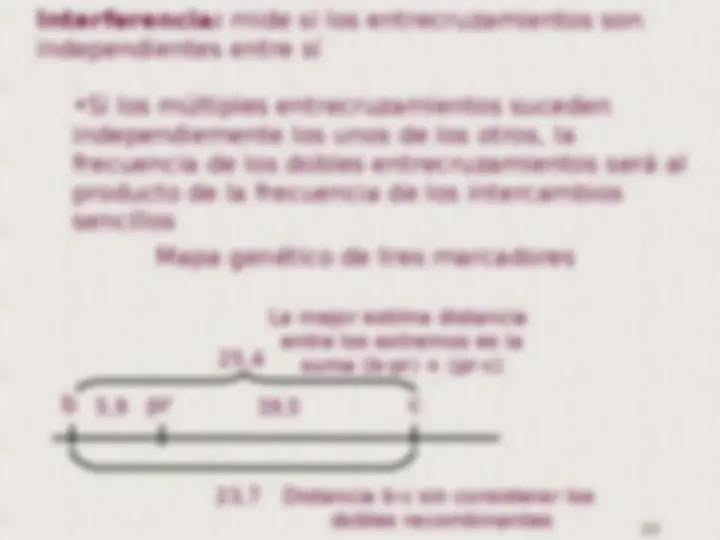 pf14