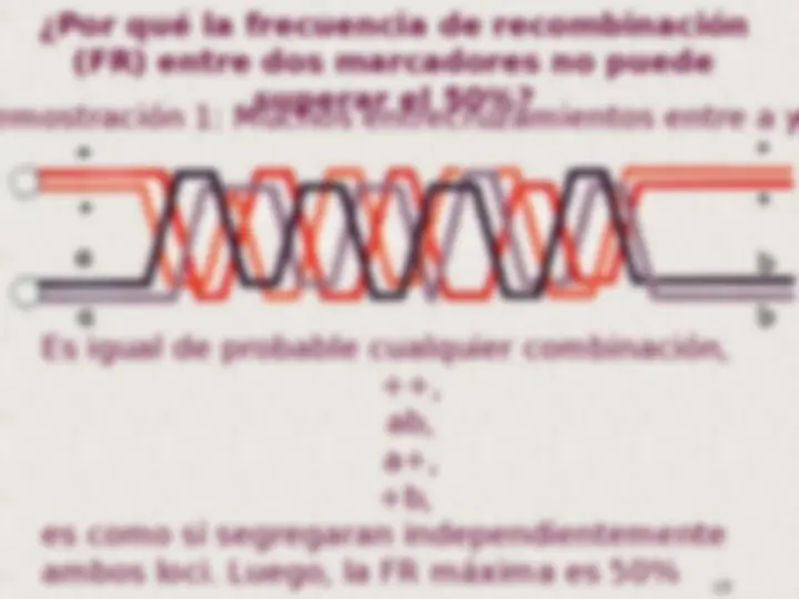 pf12