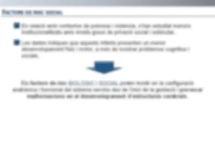 pf26
