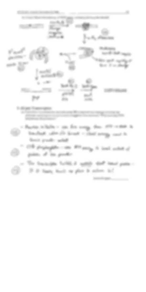 Old Examination 2 with Answers - Biochemistry III | BCHM 465 | Exams ...