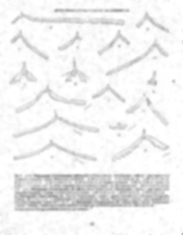 pf2e