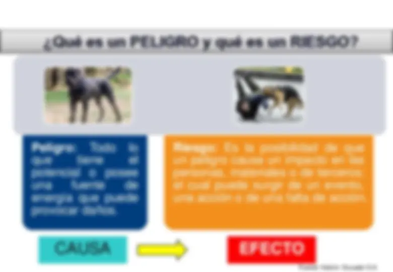 pf4
