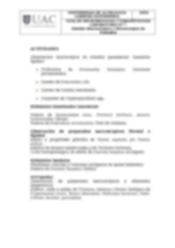 pf15