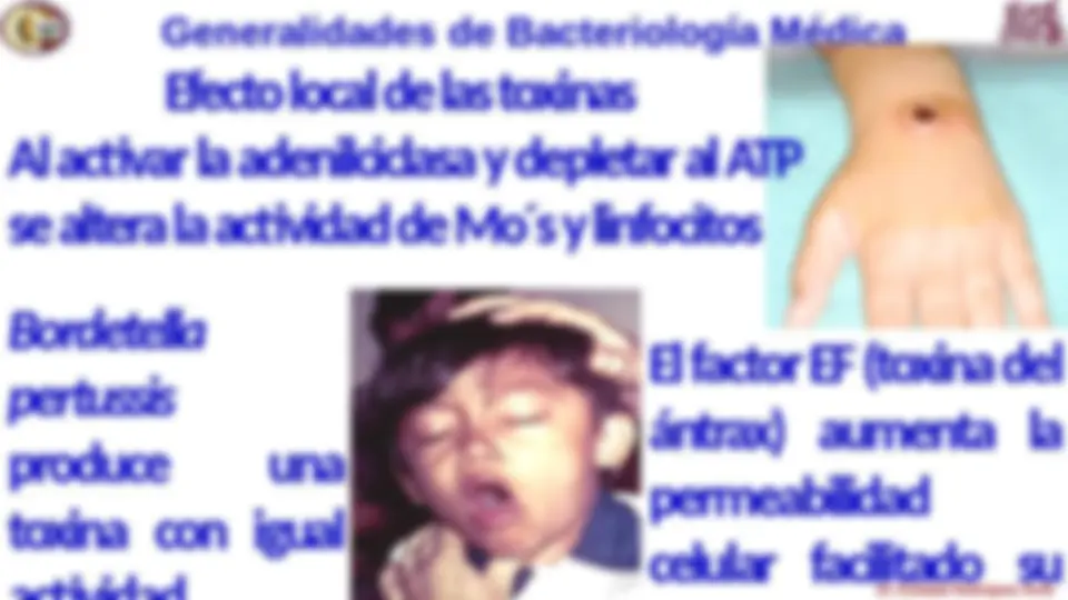 pf24