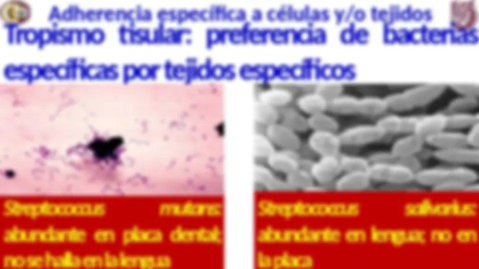 pf14