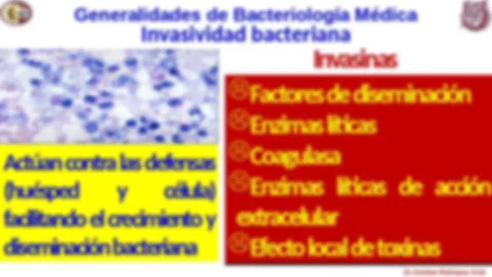 pf1b