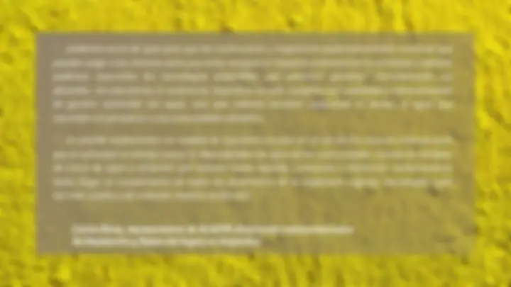 pf23