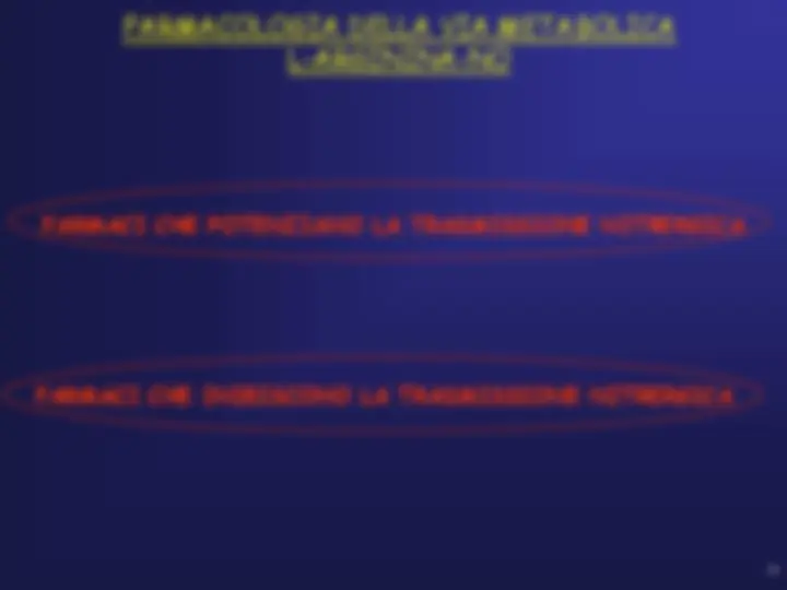 pf24