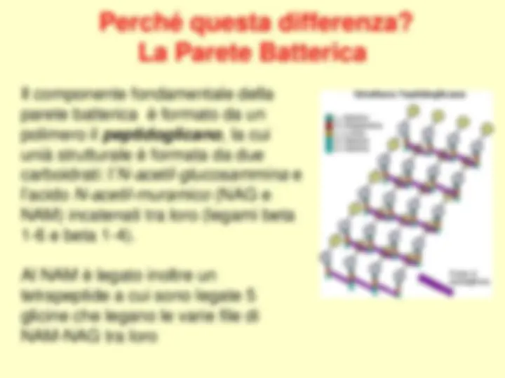 pf4