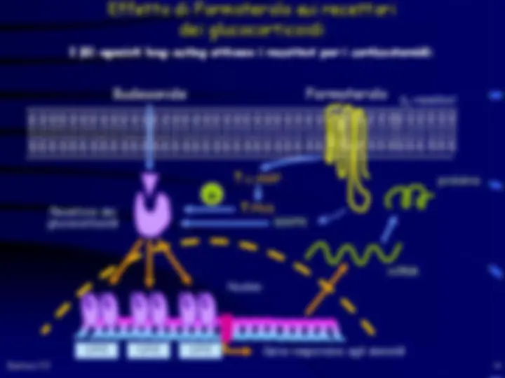 pf33