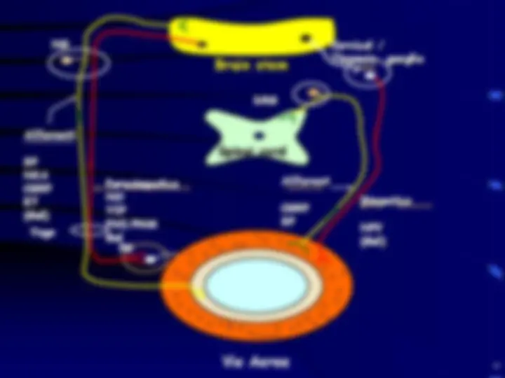 pf4