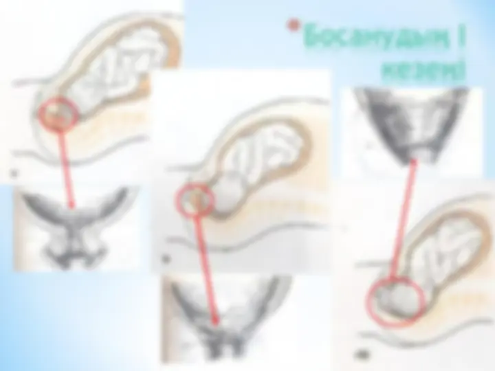 Босану кезіндегі секс порносын көріңіз Босану кезіндегі секс порносын көріңіз