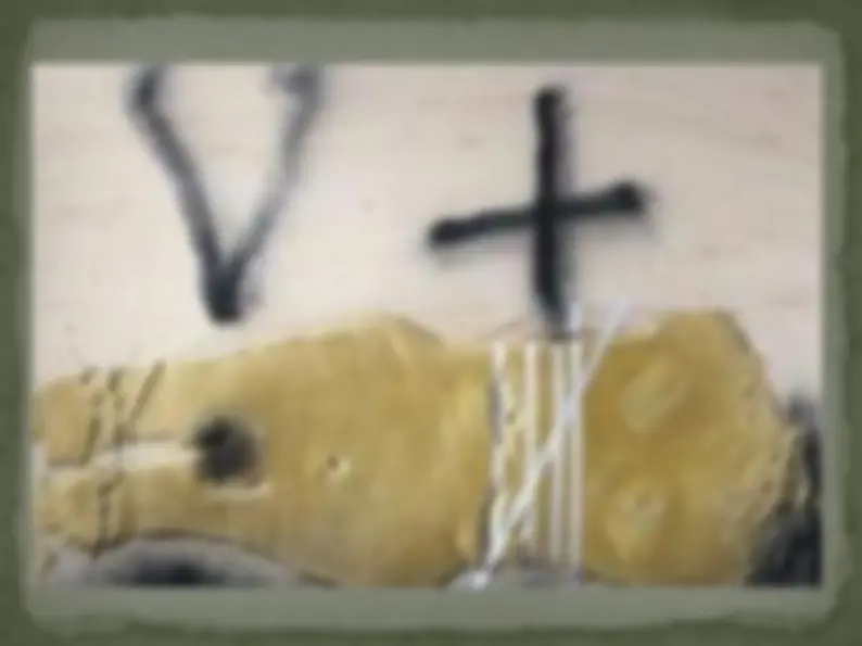 pf19