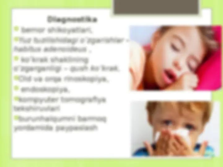 Mushuk chiroyli keldi