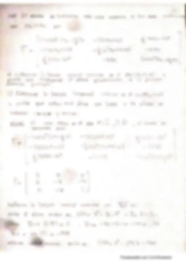 pf19