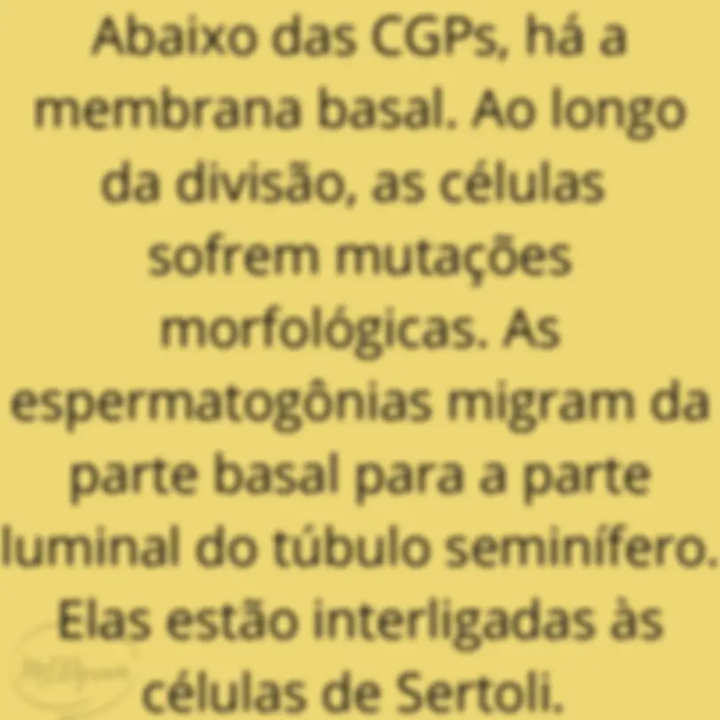 pf16
