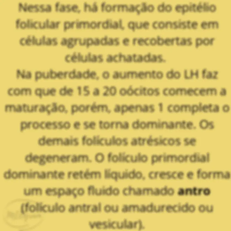 pfe