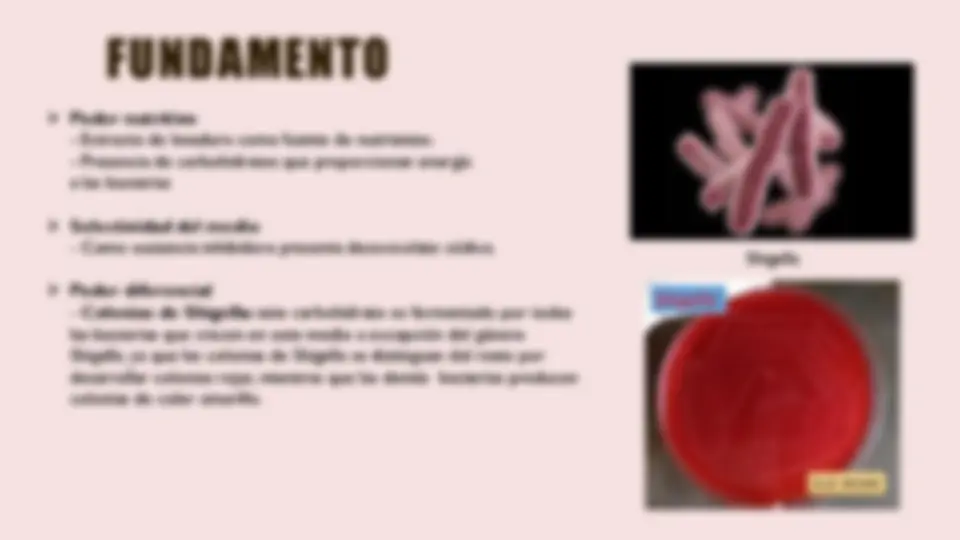 pf3