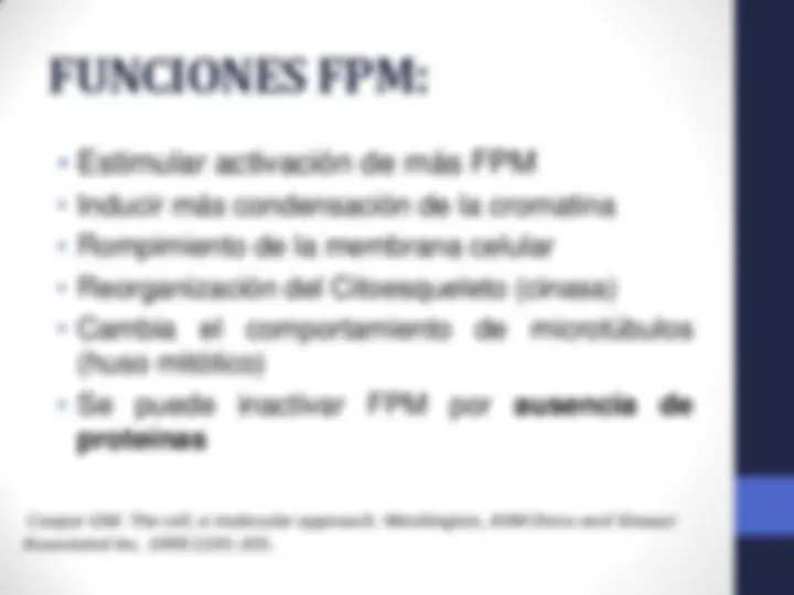 pf13