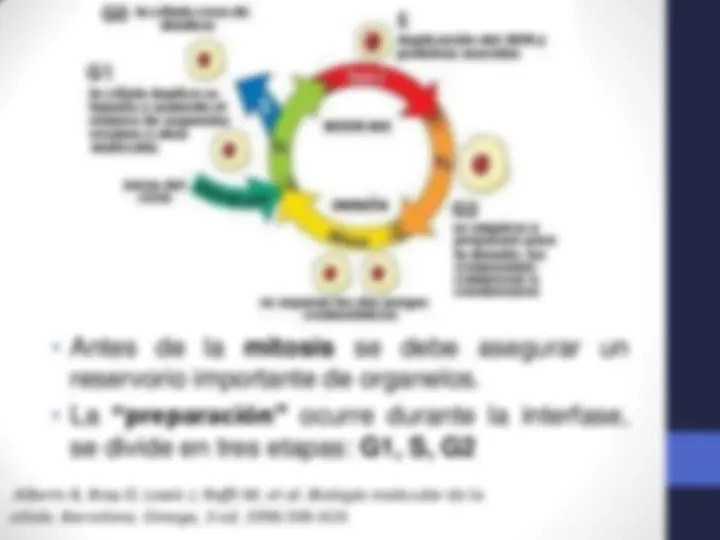 pf4