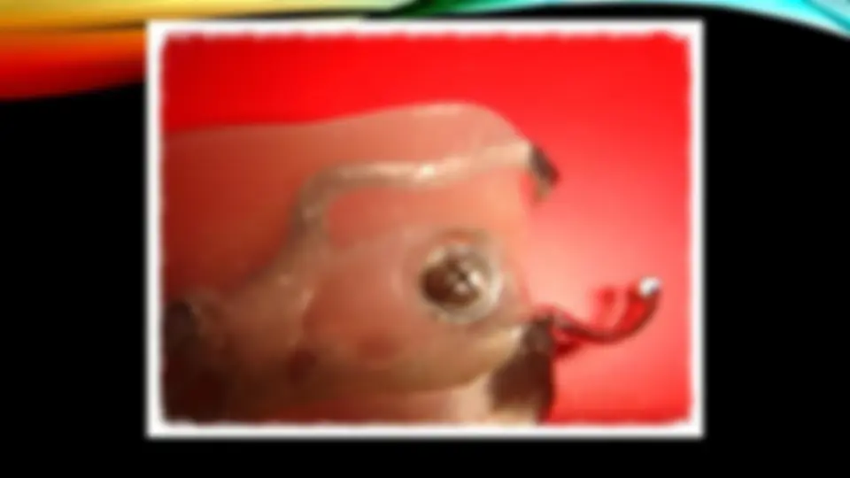 pfa