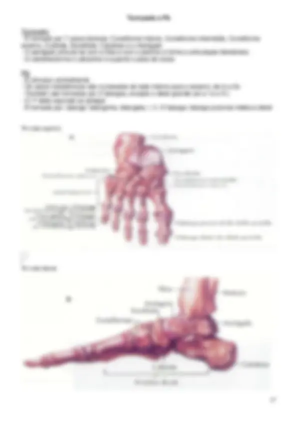 pf32