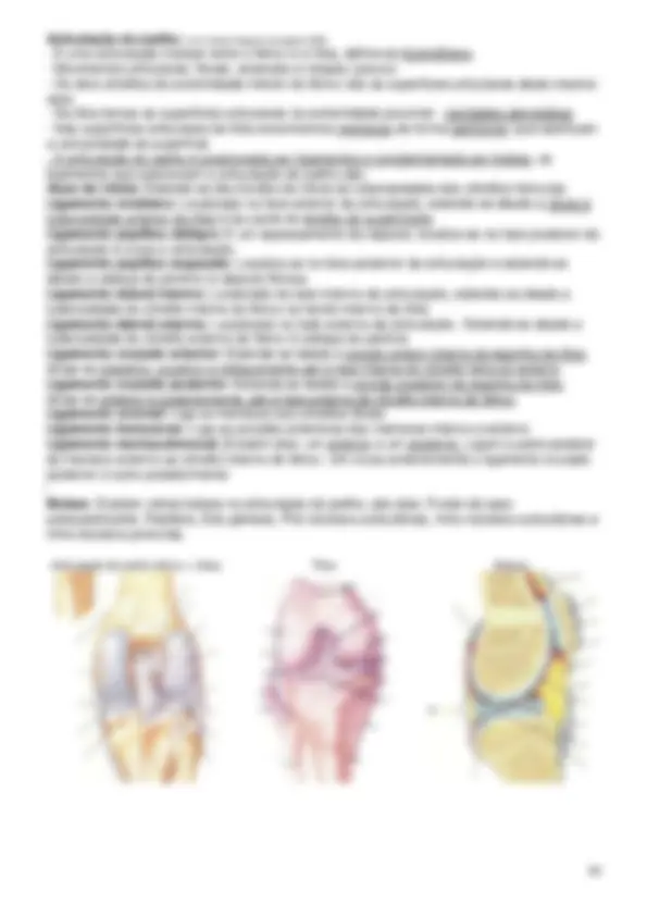 pf3b