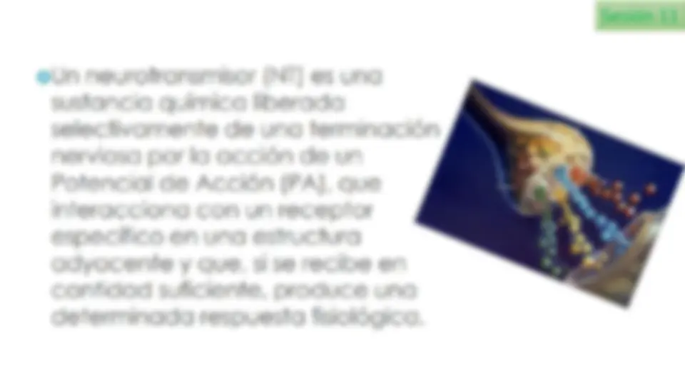 pf17