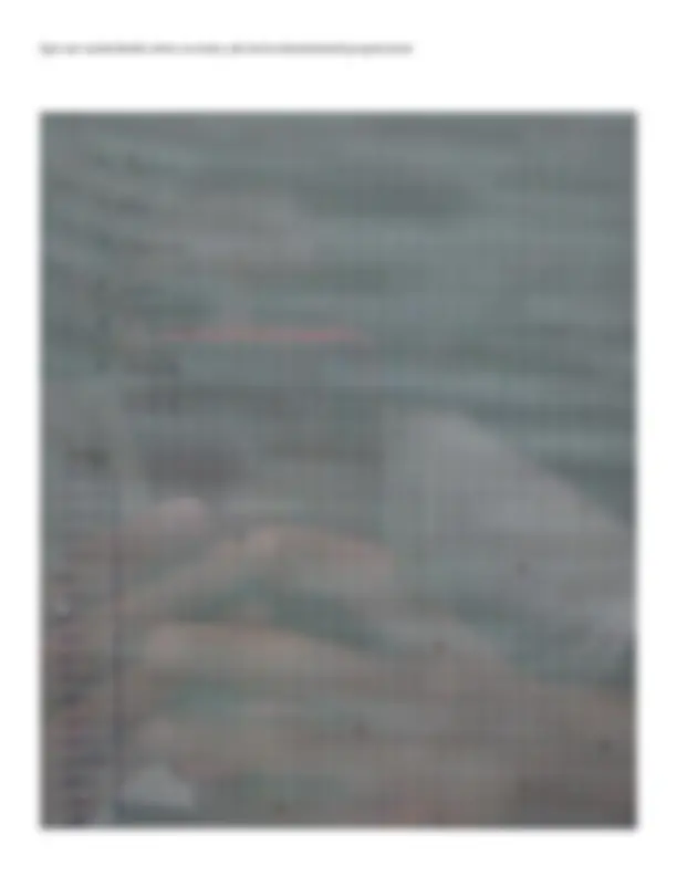 pf4