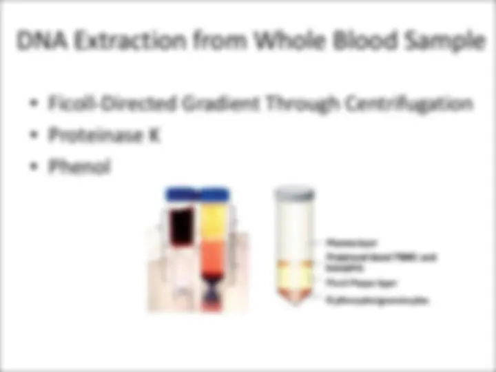 DNA and RNA Isolation: Principles, Processes, and Purification ...