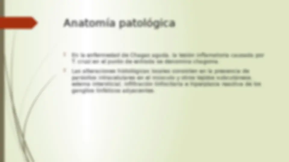 pf27