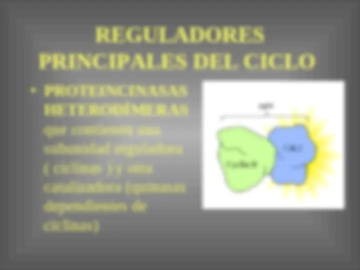 pfe