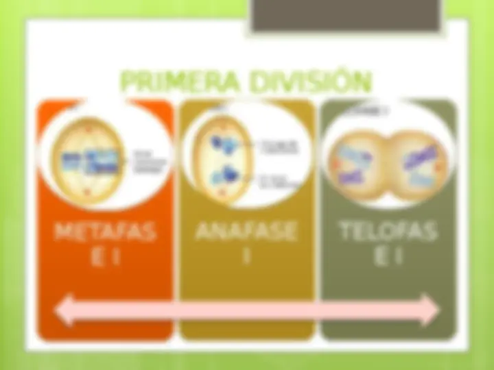 pf5