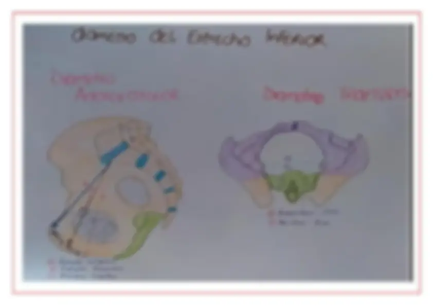 pf5