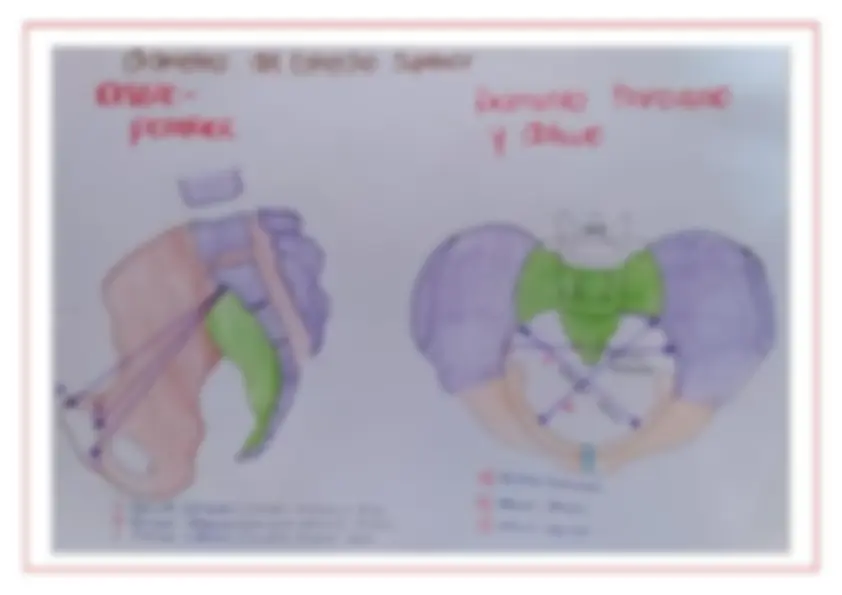 pf4