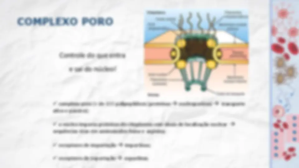 pf8