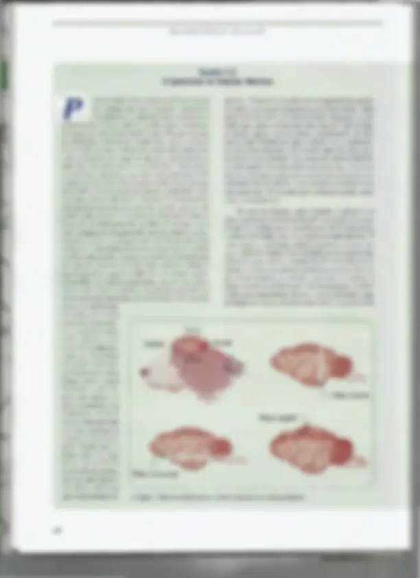 pf8