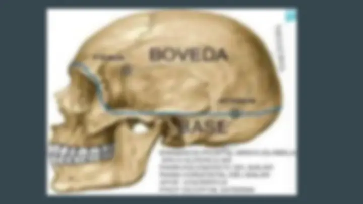 pfa