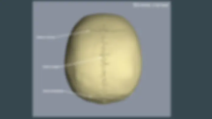 pf8