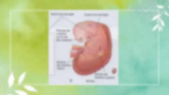 pf31