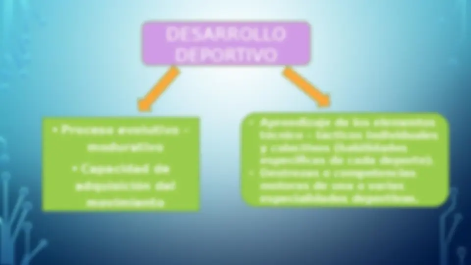 pf5