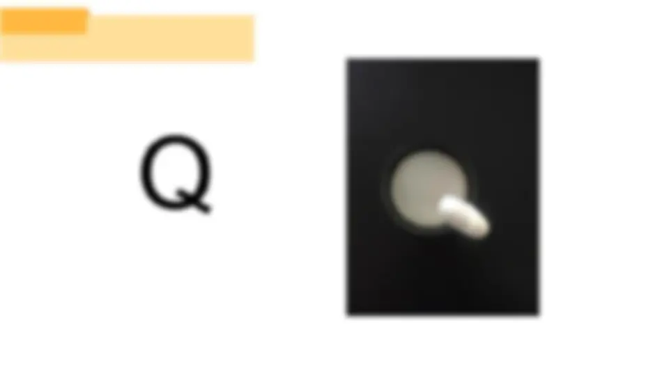 pf13