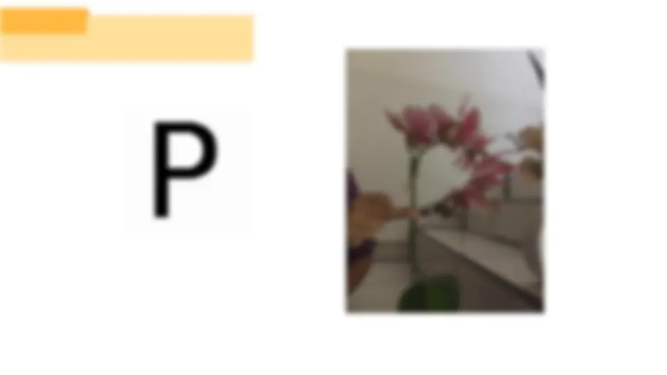 pf12