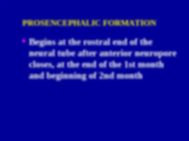 pf17