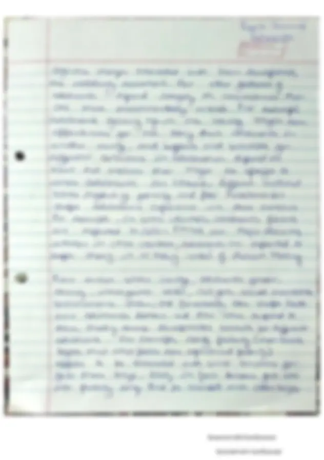 pf19