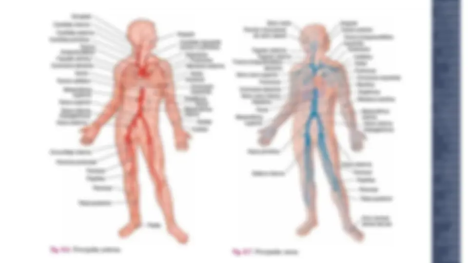 pfa