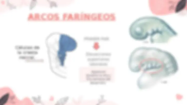 pf4