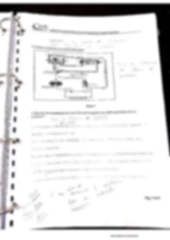 pf1e
